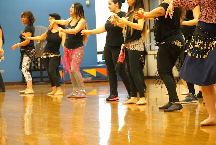 Mid East Performing Arts Academy Picture 9
