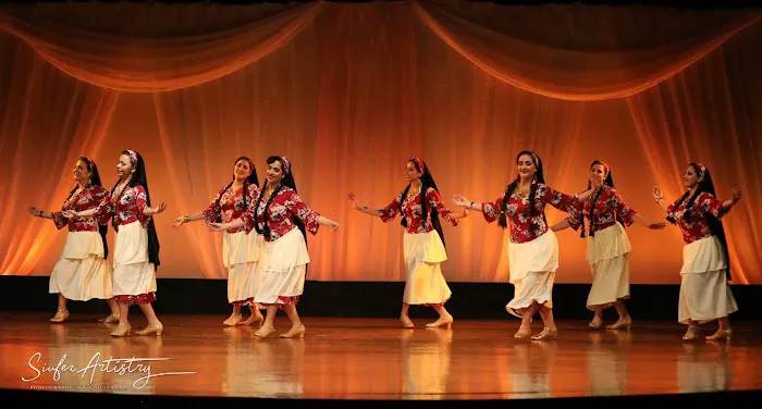 Mid East Performing Arts Academy Picture 10
