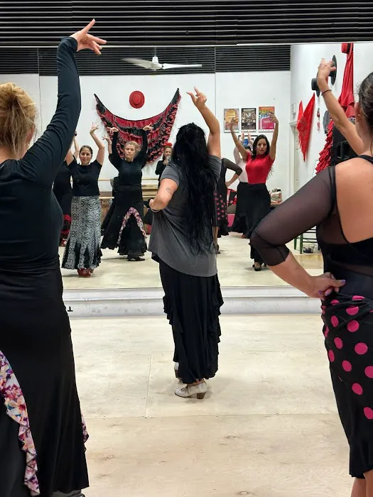 Escuela Flamenca Gabriela Fonseca Miami Picture 3