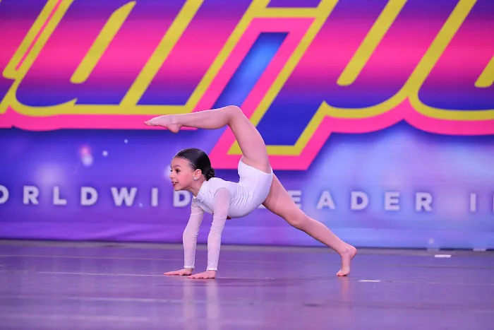Sport and Dance Academy Picture 4