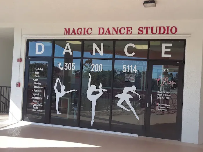 Magic Dance Studio Picture 2