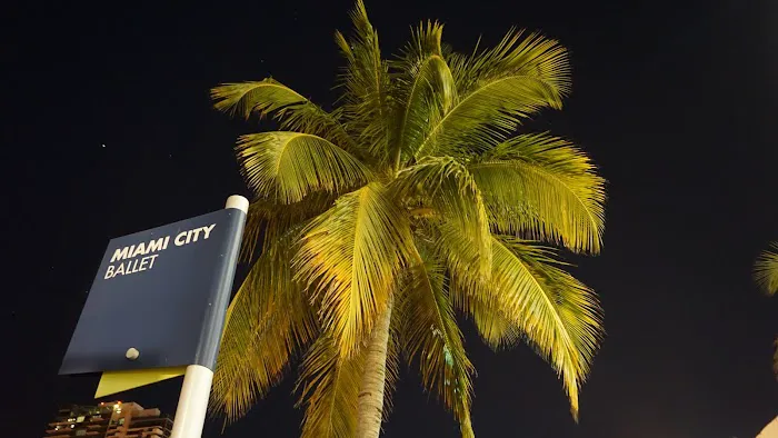 Miami City Ballet - Official Site Picture 4