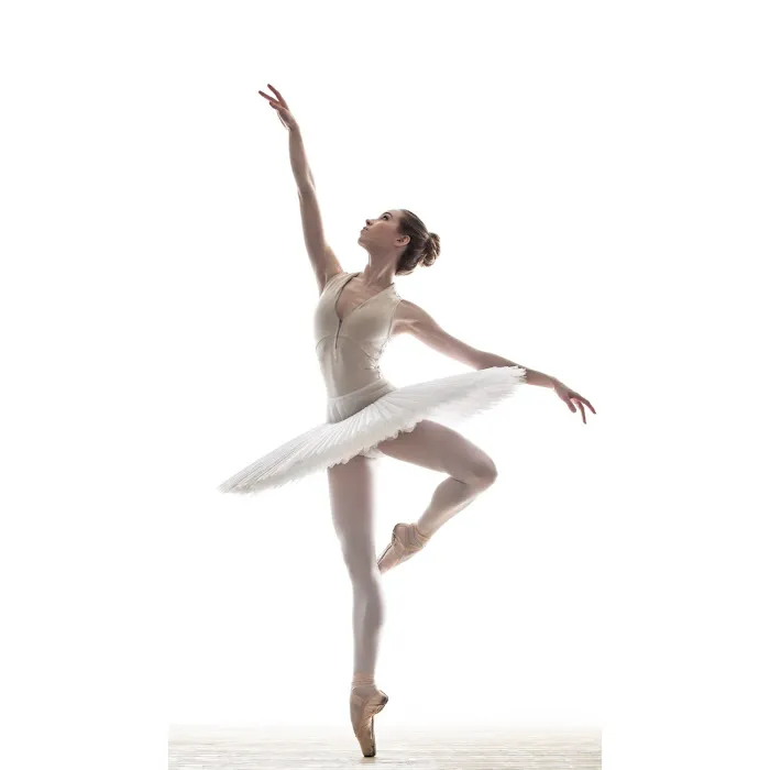 Ayala Royal Ballet - Miami Beach Picture 1
