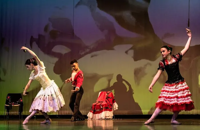 Magic Slippers Fine Arts Academy, INC. Picture 7