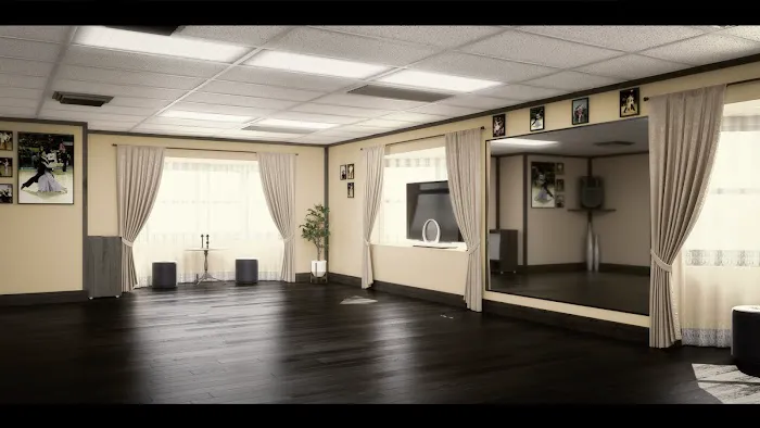 IMIART LLC. IMI Studio Of Performing ARTS Picture 4
