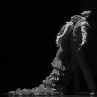 Dance Studio Baila Flamenco ico