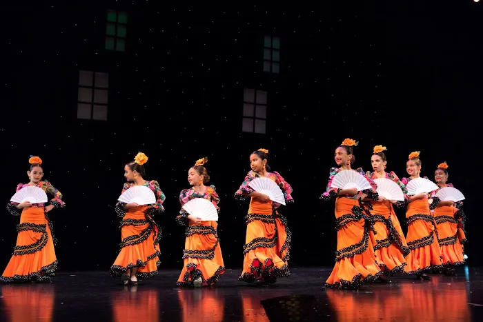 Dance Studio Baila Flamenco Picture 5