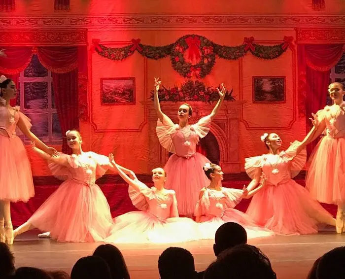 Miami Cuban Ballet School Picture 2