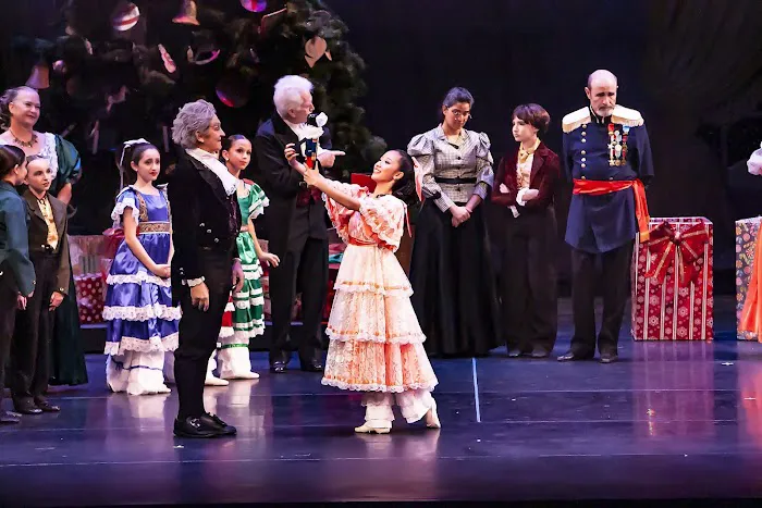Miami Youth Ballet Picture 4