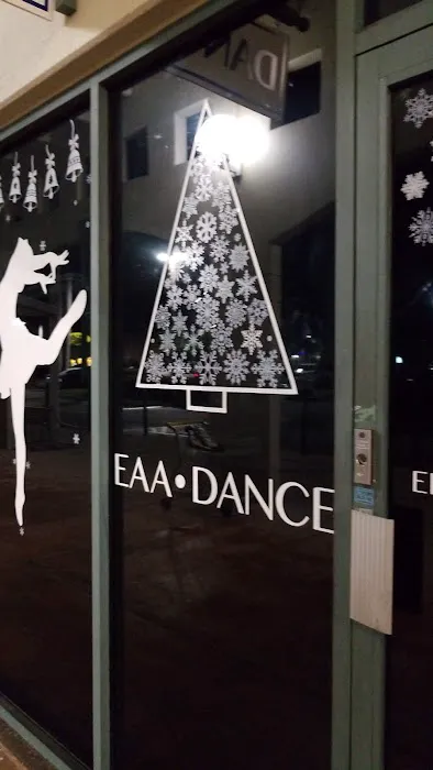 Elite Arts Academy Picture 3