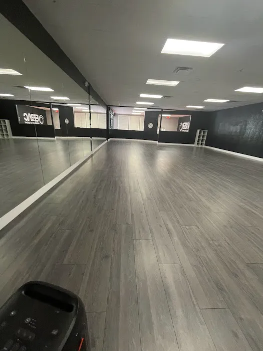Ebac Dance Academy Picture 2