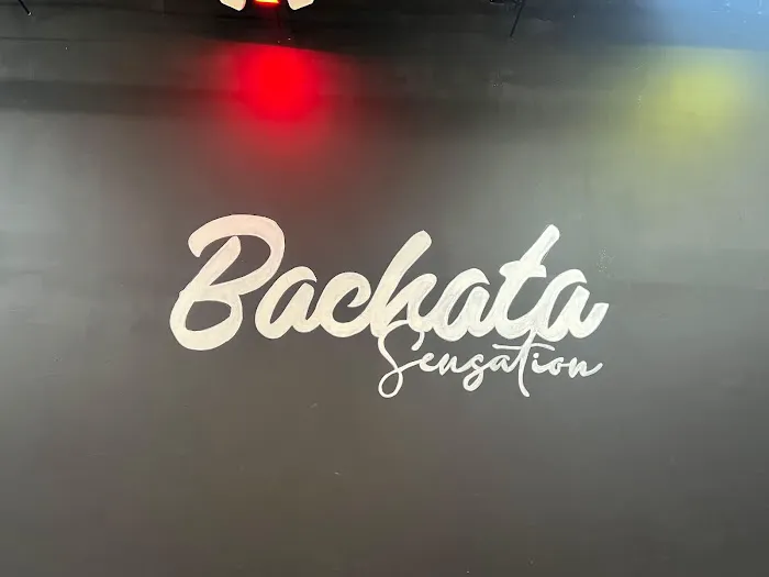 Miami Bachata Sensation Picture 3