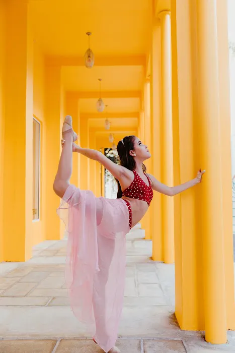 Dance Box Miami Picture 8