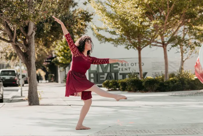 Dance Box Miami Picture 6