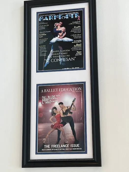 Hollywood Ballet Academy Picture 8