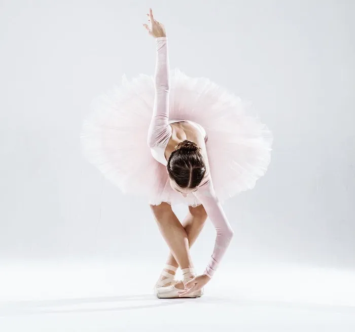 Hollywood Ballet Academy Picture 9