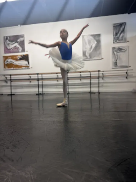 Hollywood Ballet Academy Picture 4