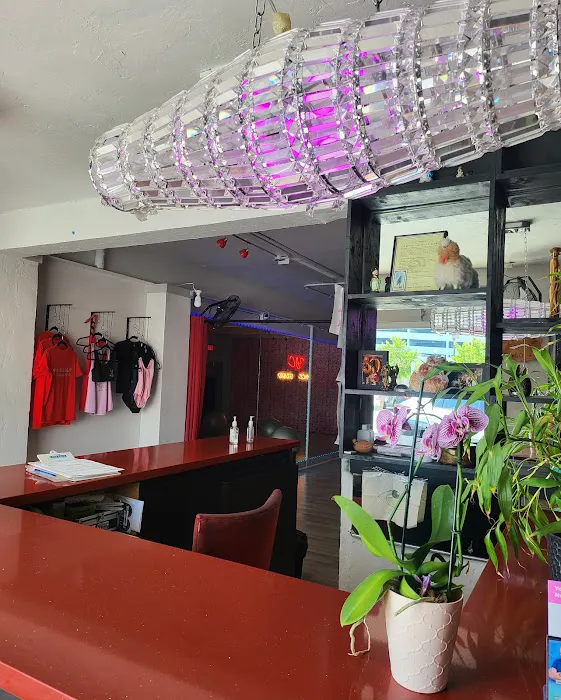 YC DANCE STUDIO Picture 7