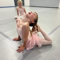 Dancers Training Spot Co. ico