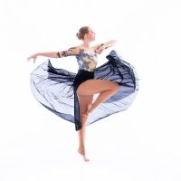 Donna Lee Studio of Dance ico