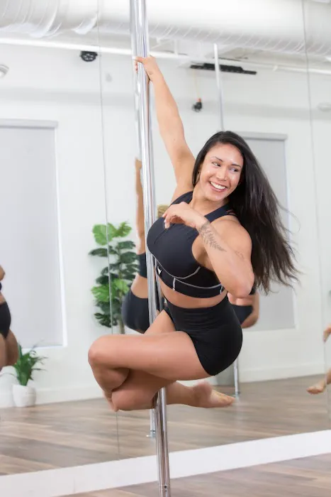 Pole Felony Fitness Picture 9