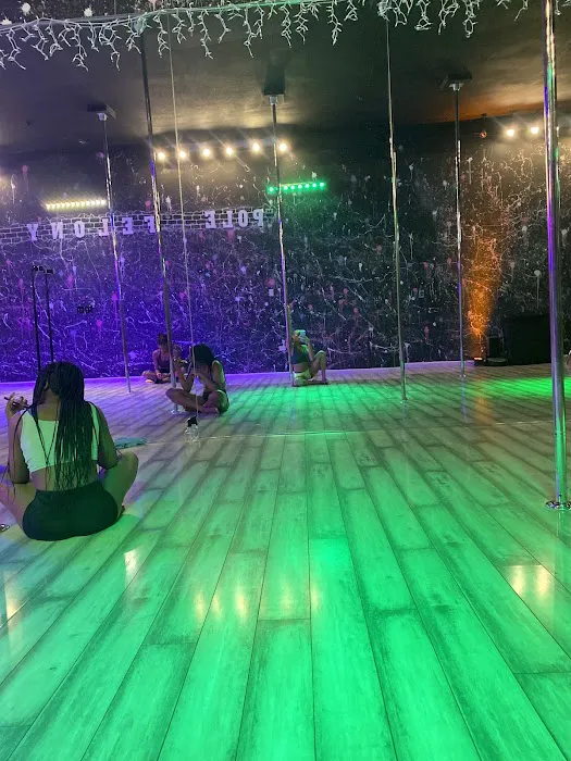 Pole Felony Fitness Picture 4