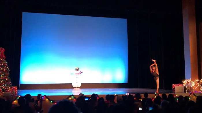 Stage Ready Dance Academy Picture 1