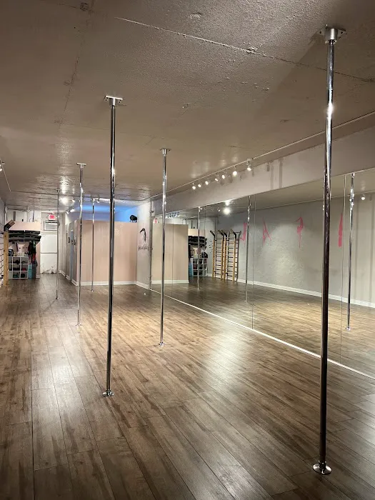 Vertical Addicts Pole Studio Picture 5
