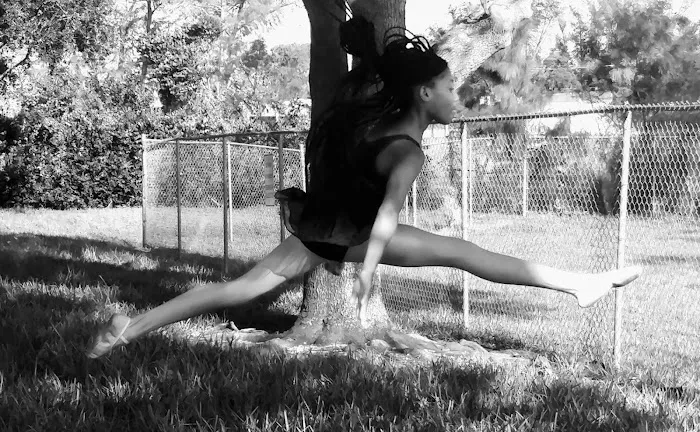 Illustrious Dance Center, LLC Picture 2