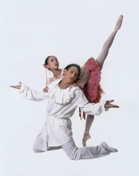 Sunghee Ballet Academy Picture 8