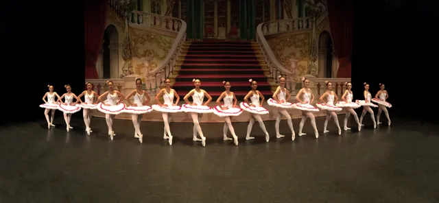 Academy of Arts Inc Picture 9