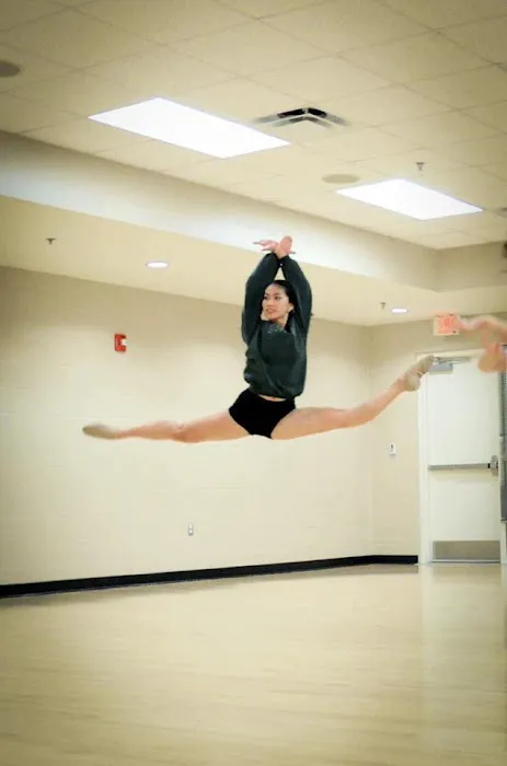 Academy of Arts Inc Picture 4
