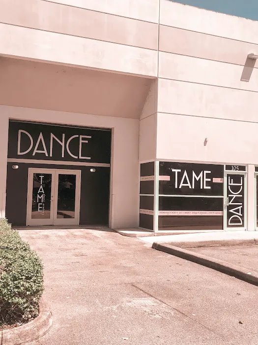 TAME Dance Academy Picture 7