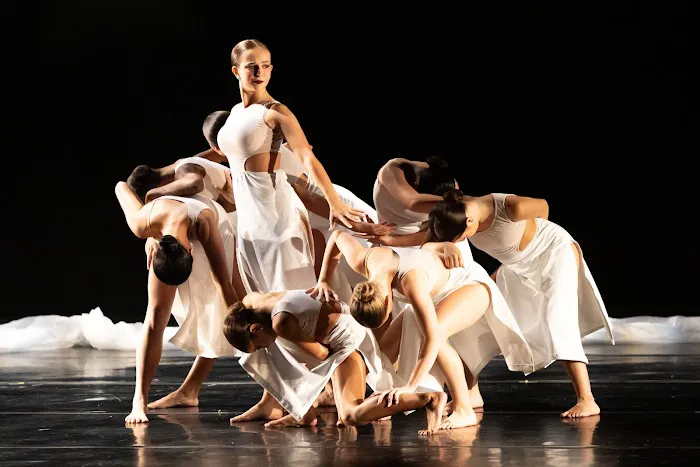 Performance Edge Dance Complex Picture 7