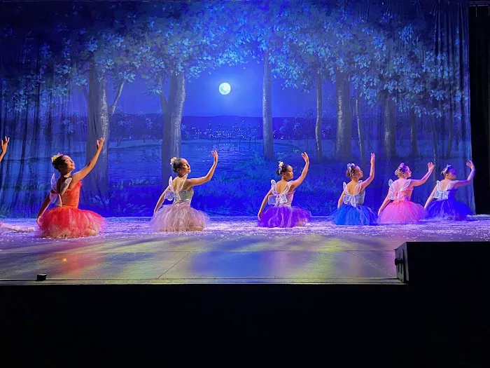 International Dance Academy Picture 10