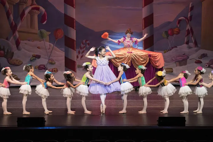 International Dance Academy Picture 6