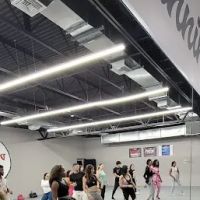 Salsa Ninja Dance Academy ico