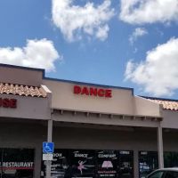 Vision Dance Company ico