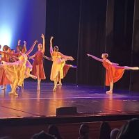 Dance Dimensions, Home of the Fort Lauderdale Children's Ballet Theater ico