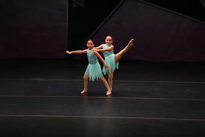 The Dance Effect Picture 4