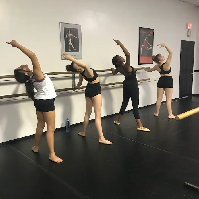 The Dance Effect Picture 10