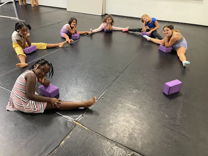 The Dance Effect Picture 2