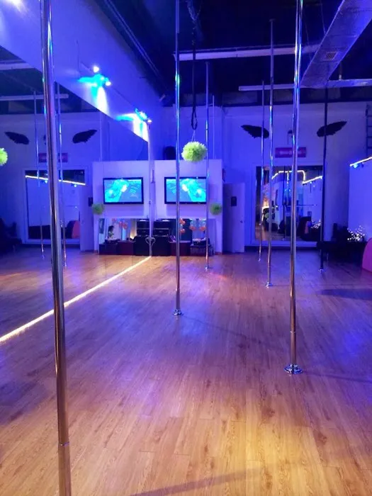Pixie Pole Fitness Picture 6