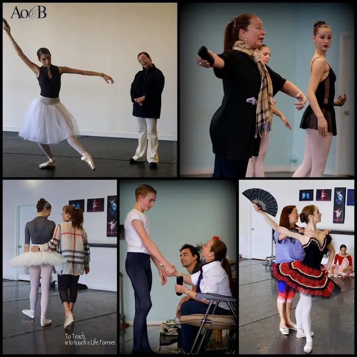 The Art of Classical Ballet Picture 7