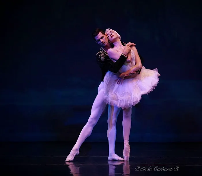 The Art of Classical Ballet Picture 10