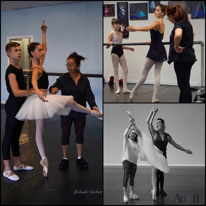 The Art of Classical Ballet Picture 6