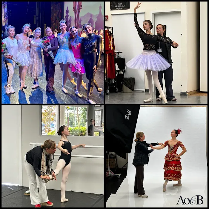 The Art of Classical Ballet Picture 9