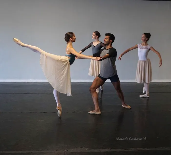 The Art of Classical Ballet Picture 5