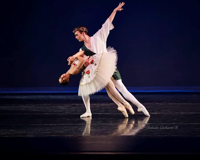 The Art of Classical Ballet Picture 4