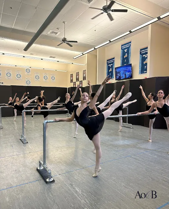 The Art of Classical Ballet Picture 8